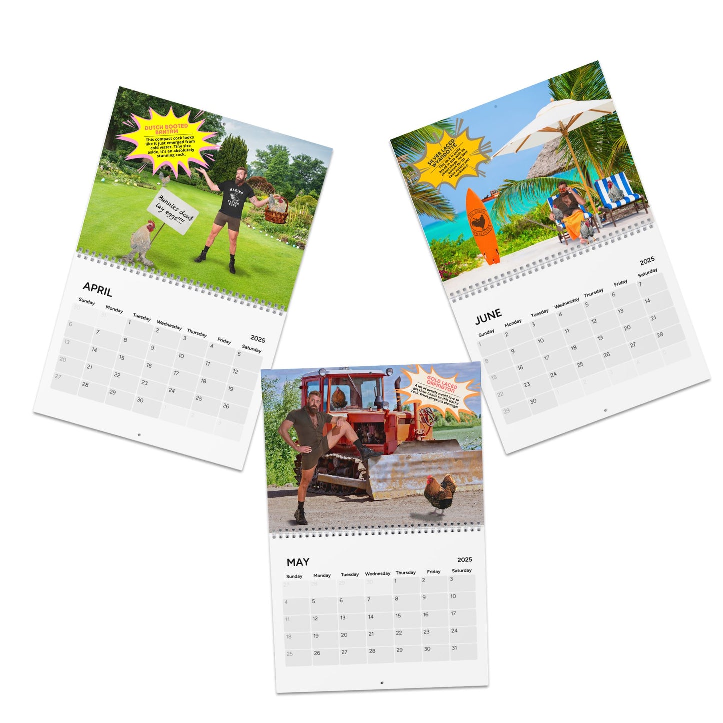 TCW |  2025 Wall Calendar (2nd edition)